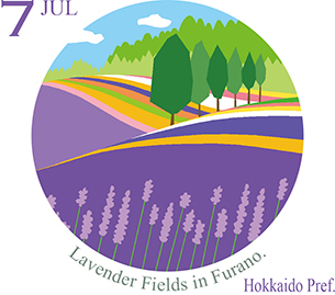 富良野のラベンダー畑（北海道）